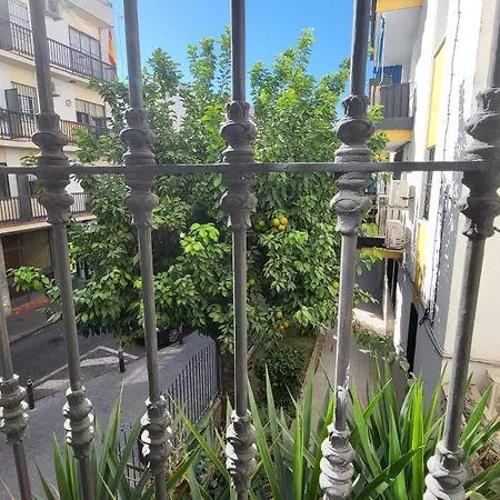Hogarium Plaza De San Pedro 아파트 *
