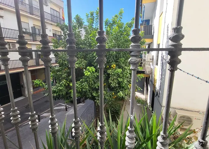 Hogarium Plaza De San Pedro 아파트 *